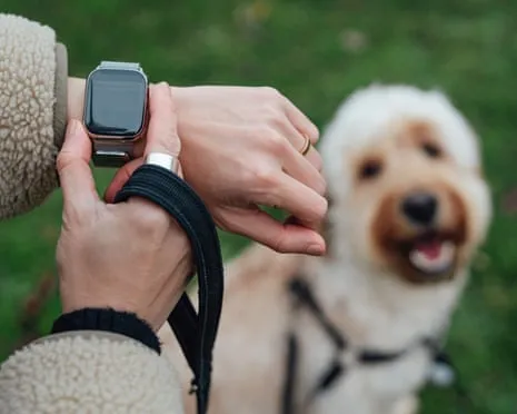 The Reality About Wearable Tech? Living Is Better Lacking a Bossy Zealot on Your Arm